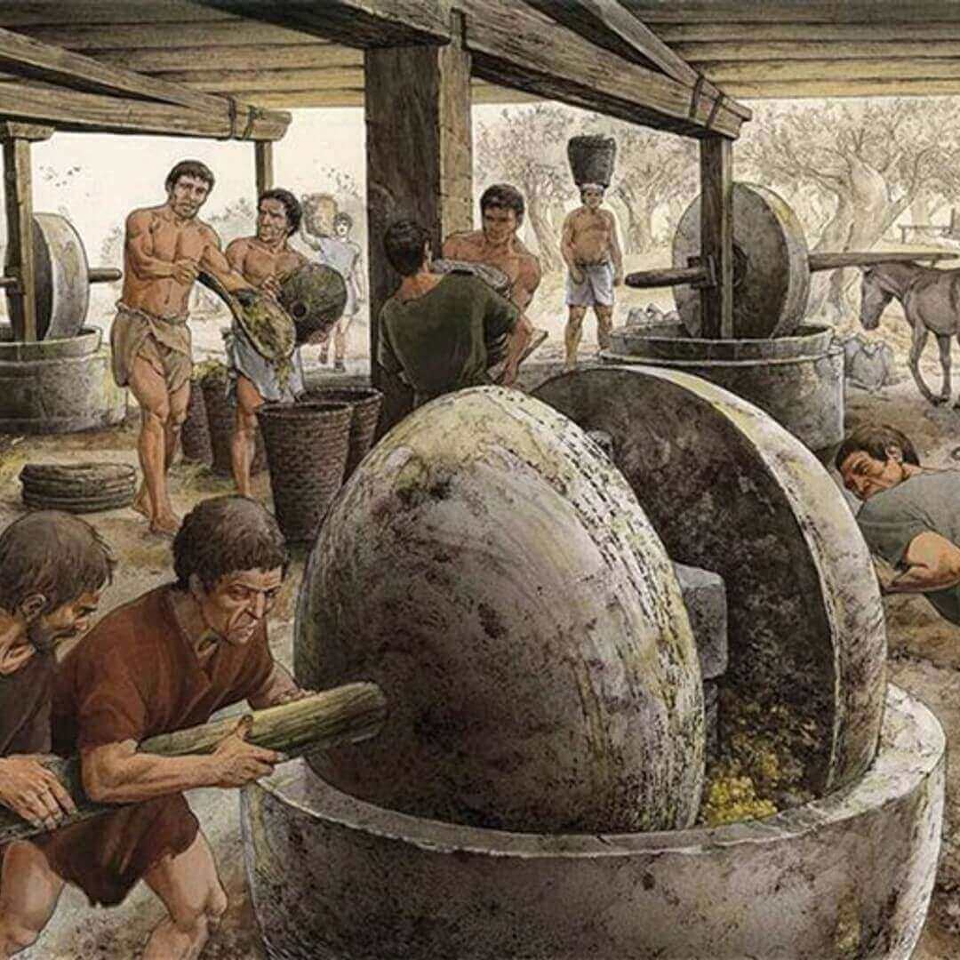 L’olio per gli antichi Romani